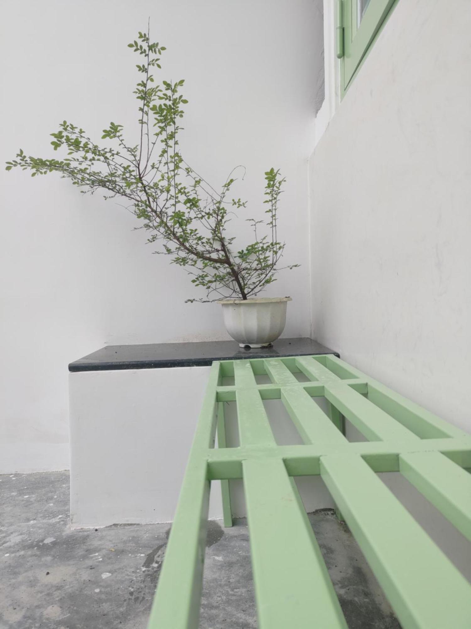 Hahe Homestay Đà Lạt Ngoại thất bức ảnh
